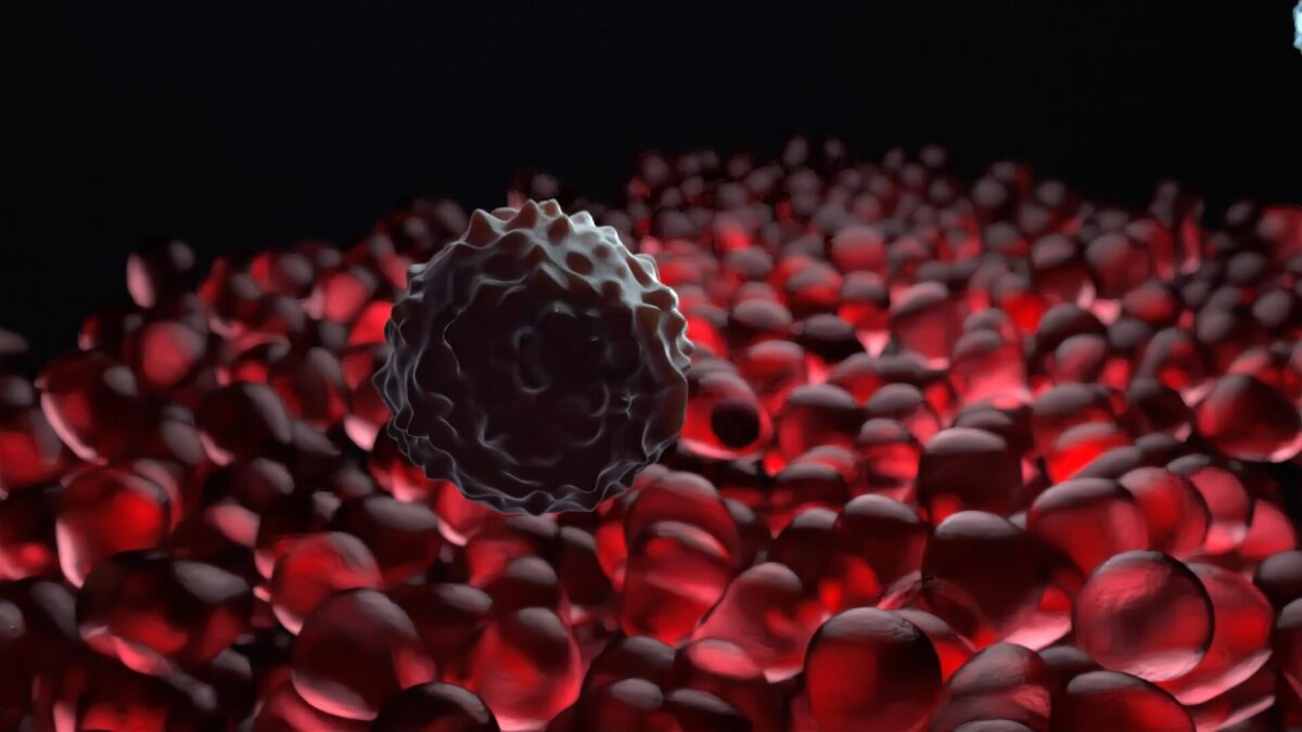 Cell Animations: A Visual Journey Through the Building Blocks of Life ... Biology Diagrams