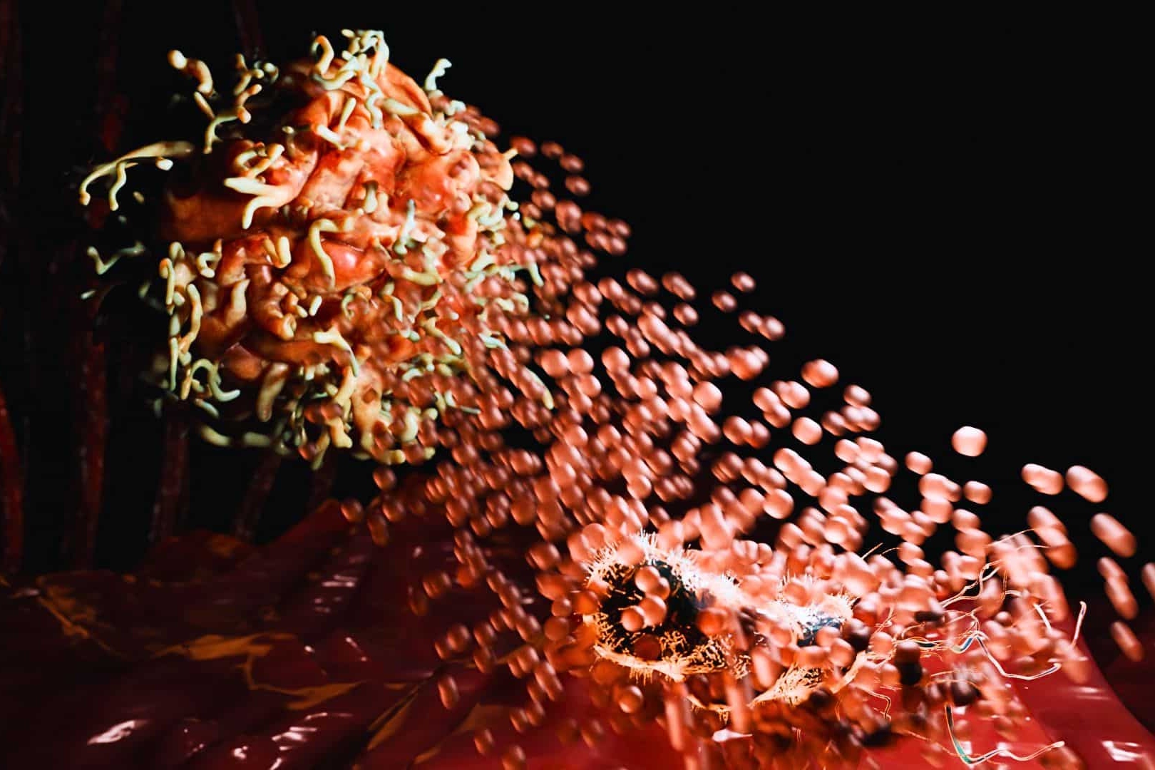 Macrophage Destroys Microbe KHO