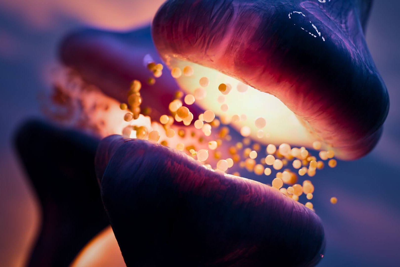 Synapse Animation