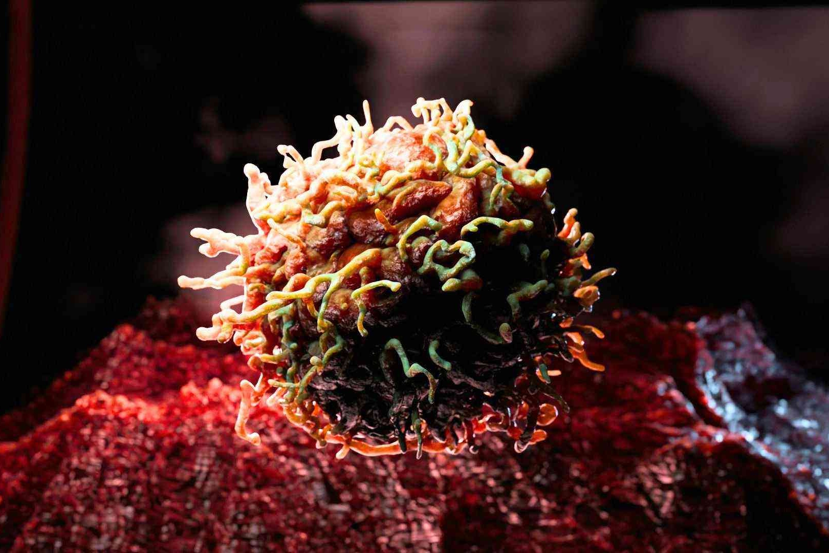 KHO Animation Landing Page Macrophage
